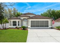 Charming single-Gathering home with well-manicured lawn, a screened garage, and a neutral-colored facade at 33215 Kaylee Way, Leesburg, FL 34788