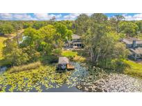 Expansive aerial view of a home's exterior with a private dock on a lily pad covered lake at 6082 Twin Lakes Dr, Oviedo, FL 32765