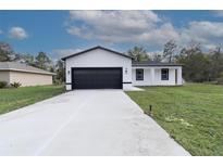 Charming single-story home with a modern black-and-white color scheme and a spacious driveway at 54 Malauka Trak, Ocklawaha, FL 32179