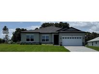 Beautiful exterior view of a single-story home with a well-manicured lawn and an attached two-car garage at 1755 Waterview Dr, Leesburg, FL 34748