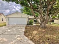 Inviting single-story home with a large tree in the front yard and a white two-car garage at 307 Santa Clara Cir, Lady Lake, FL 32159