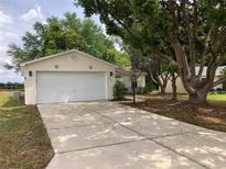 Charming single-story home featuring a spacious driveway and attached two-car garage at 307 Santa Clara Cir, Lady Lake, FL 32159