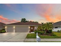 Charming single-story home featuring a well-maintained lawn and a two-car garage with beautiful landscaping at 1842 Turnbull Lakes Dr, New Smyrna Beach, FL 32168