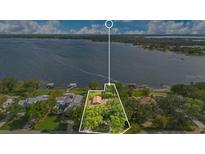 Lakefront property with lush greenery, neighboring houses, and docks, offering a serene and picturesque setting at 10577 Down Lakeview Cir, Windermere, FL 34786
