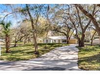 Charming single-story home with a long driveway and a yard landscaped with beautiful mature trees at 1475 James St, New Smyrna Beach, FL 32168