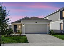 Charming single-Gathering home featuring a two-car garage, complemented by a well-maintained lawn and landscape at 4224 Pebbles Throw Dr, Kissimmee, FL 34746