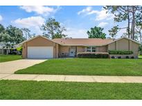 Well-maintained front yard with manicured lawn leading to a tan single-story home with an attached two-car garage at 4833 Palm Tree Ct, Windermere, FL 34786