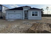 New construction single-Gathering home with an attached two-car garage and a neutral color palette at 738 Pointe Emerson Blvd, Apopka, FL 32703