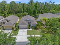 Aerial view of charming single-story home with a two-car garage, well-manicured lawn, and a lush, wooded backdrop at 14750 Hartford Run Dr, Orlando, FL 32828