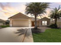 Charming single-story home with a well-manicured lawn and mature palm trees at 12711 Se 97Th Terrace Rd, Summerfield, FL 34491