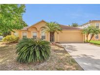 Charming single-story home featuring a well-maintained yard with tropical plants and a two-car garage at 5091 Plymouth Turtle Cir, St Cloud, FL 34772