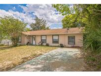 Charming one-story home with a quaint front yard, painted drive, and mature landscaping at 3 Spring Lane Way, Ocala, FL 34472