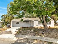 Charming single-story home with a mature shade tree and fresh exterior paint at 75 Garrison Ln, Frostproof, FL 33843