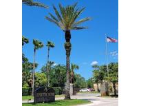 Community entrance featuring lush tropical landscaping, community signage, and a view of the American flag at 9903 Turf Way # 4, Orlando, FL 32837