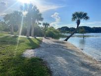 Scenic waterfront view featuring palm trees, a sandy beach, and a picturesque pier, perfect for relaxation at 1002 Lake Elbert Se Dr, Winter Haven, FL 33880
