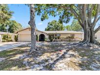 Charming single-story home featuring a manicured lawn and mature trees offering ample shade at 2007 Peach Tree Blvd, St Cloud, FL 34769
