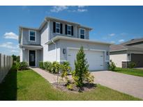 Charming two-story home featuring a two-car garage, well-maintained lawn, and inviting curb appeal at 16301 Sanctuary Reserve Loop, Clermont, FL 34714