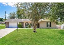 Charming single-story home featuring a well-maintained lawn, a tree, and an attached two-car garage at 845 N Ludlum Dr, Deltona, FL 32725