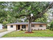 Charming single-story home featuring a well-manicured lawn and mature shade tree at 17 W Nightingale St, Apopka, FL 32712