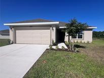 Charming single-Gathering home featuring a manicured lawn, neutral color palette, and a two-car garage at 4264 Sagefield Dr, St Cloud, FL 34773