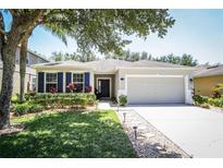 Charming home featuring manicured lawn, colorful shrubs, and a two-car garage at 4793 Grassy Knoll Dr, Tavares, FL 32778