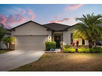 Charming single-story home with a two-car garage, manicured lawn, and a welcoming front entrance at 17500 Butterfly Pea Ct, Clermont, FL 34714