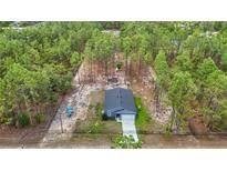 Expansive aerial view of the property showcasing its location within a lush green wooded area at 13297 Sw 69Th Pl, Ocala, FL 34481