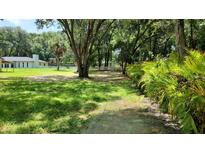 Sprawling grassy yard with mature trees and white fencing surround this beautiful country property at 16742 Se 165Th Ave, Weirsdale, FL 32195