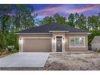 Charming single-story home with a two-car garage, manicured lawn, and a classic roof design at 2065 East Pkwy, Deland, FL 32724
