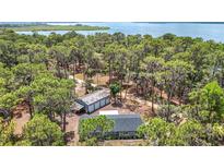 Aerial view of the property showcasing the house, outbuildings, and surrounding trees at 7374 Circle Dr, Lady Lake, FL 32159