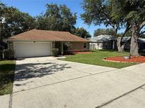 Charming single-story home with a well-manicured lawn and a long driveway leading to an attached garage at 618 Meadow Park Dr, Minneola, FL 34715