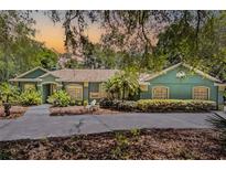 Inviting ranch style home with green exterior, lush landscaping, and a spacious driveway at 2705 Curryville Rd, Chuluota, FL 32766