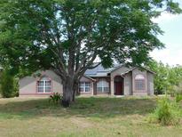 Charming single-story home with a mature tree in the front yard and stucco exterior at 7045 Branch Ct, St Cloud, FL 34771