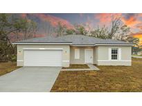 Charming single-story home featuring a gray roof, neutral siding, a two-car garage, and manicured landscaping at 2807 Sw 161St Loop, Ocala, FL 34473
