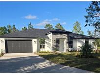 Beautiful single-story home with a modern design, gray roof, and nicely manicured lawn at 0 Overton St, Orlando, FL 32833