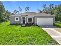 Charming single-story home with a gray exterior, green lawn, and a spacious two-car garage at 16253 Sw 29Th Court Rd, Ocala, FL 34473