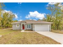 Charming single-story home with a well-manicured lawn and a two-car garage at 2531 Sw 167Th Loop, Ocala, FL 34473
