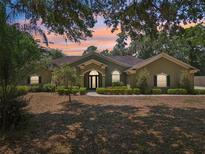 Inviting single-story home featuring manicured landscaping, mature trees, and a stately facade at sunset at 6686 Se 135Th St, Summerfield, FL 34491
