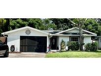 Charming single-story home with well-maintained lawn, decorative front door, and inviting curb appeal at 1203 Monterey Dr, Eustis, FL 32726