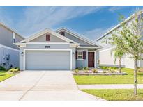 Charming single-story home featuring a gray facade, well-maintained landscaping, and an attached two-car garage at 26271 Feathergrass Cir, Leesburg, FL 34748