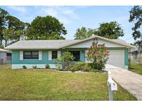 Charming single-story home featuring a well-manicured lawn and vibrant landscaping at 1007 3Rd St, Port Orange, FL 32129