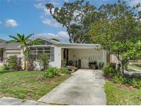 Charming home exterior showcasing a well-maintained yard and inviting curb appeal with mature landscaping at 171 Stanley Bell Dr, Mount Dora, FL 32757