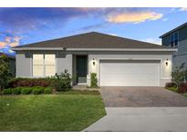 Charming single-story home featuring a manicured lawn, neutral paint, and a two-car garage at 17335 Million Lakes Ct, Clermont, FL 34714