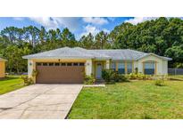 Charming single-story home featuring a well-maintained lawn and an attached two-car garage at 313 Greenwich Ct, Kissimmee, FL 34758