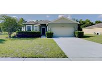 Inviting single-story home with a well-manicured lawn and a two-car garage at 7806 Tanbier Dr, Orlando, FL 32818