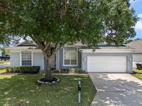 Charming single-story home with a well-maintained lawn, a mature shade tree, and an attached two-car garage at 548 Casterton Cir, Davenport, FL 33897