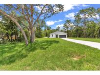 Charming single-story home with a well-manicured lawn and long driveway at 13101 Sw 85 Pl, Dunnellon, FL 34432