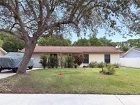 Charming single-story home featuring a well-maintained front yard with mature tree and colorful play set at 1150 Jackson St, Oviedo, FL 32765