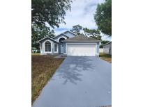 Charming single-Gathering home with a two-car garage and well-maintained landscaping at 3446 Cypress Point Cir, St Cloud, FL 34772