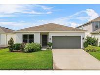 Charming single-story home with a well-maintained lawn, and a two car garage at 1773 Groveline Rd, St Cloud, FL 34771